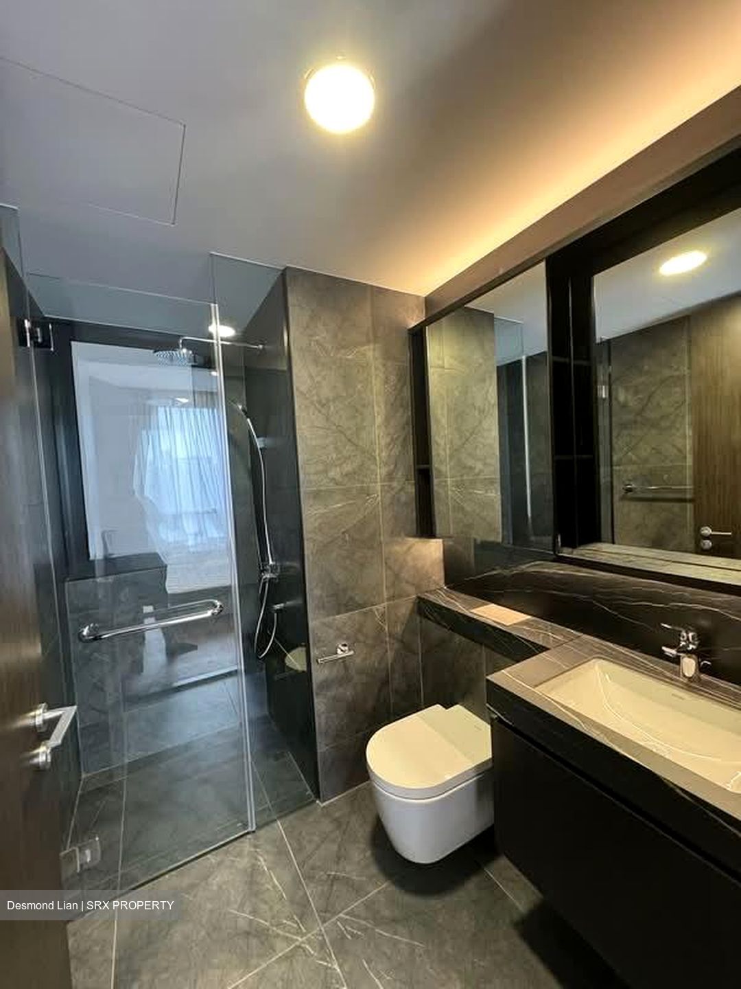 Hyll On Holland (D10), Condominium #590767501
